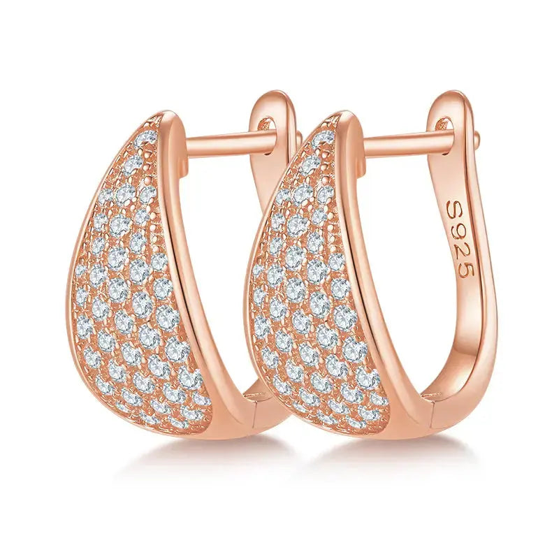 Moissanite Luxury and Fashionable Light Luxury Silver Stud Earrings – S925 Platinum Plated - N&P Colletion