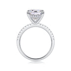 Iridescence City - Moissanite S925 Sterling Silver And Platinum Diamond Ring