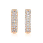 Brilliant Night - Premium Moissanite Luxury Fashion Light Luxury Jewelry Silver Stud Earrings S925 Silver Plated Platinum NP Collection