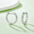 Moissanite Luxury and Fashionable Light Luxury Silver Stud Earrings – S925 Platinum Plated - N&P Colletion