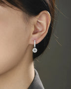 Top-quality Moissanite Luxury And Fashionable Light Luxury Jewelry Silver Stud Earrings S925 Silver Plated Platinum NP Collection
