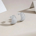 Moissanite Luxury And Fashionable Light Luxury Jewelry Silver Stud Earrings S925 Silver Plated Platinum NP Collection
