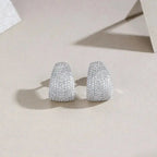 Moissanite Luxury And Fashionable Light Luxury Jewelry Silver Stud Earrings S925 Silver Plated Platinum NP Collection